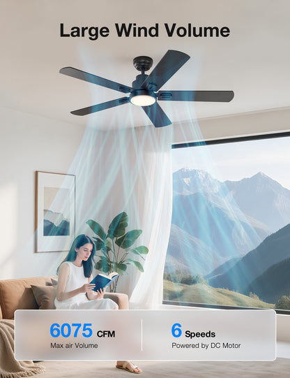 warmiplanet 52 Inch Indoor Ceiling Fans with Lights(WICF15-1)