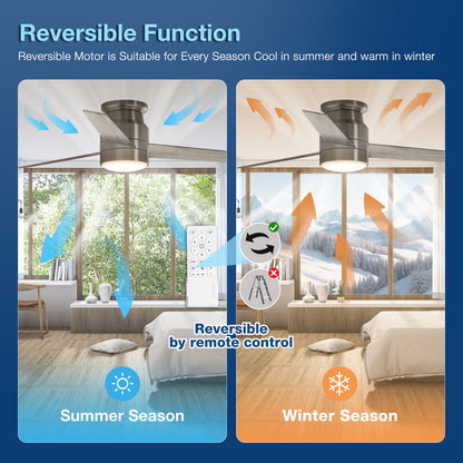 warmiplanet 52" Noble Flush Mount Ceiling Fan (WICF06-3)