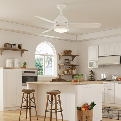 warmiplanet 48" Breeze Ceiling Fan (WICF01)