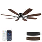 62-Inch RGB Ceiling Fan - WF05-1
