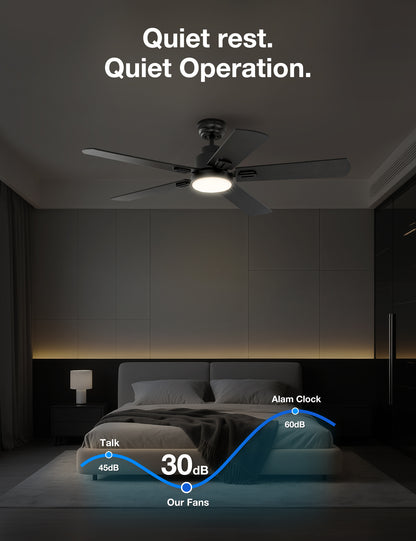 warmiplanet 52 Inch Indoor Ceiling Fans with Lights(WICF15-1)