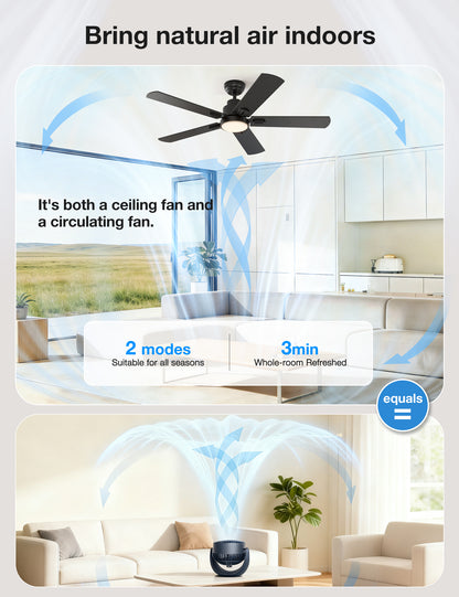 warmiplanet 52 Inch Indoor Ceiling Fans with Lights(WICF15-1)