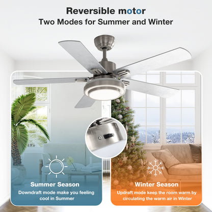 warmiplanet 52" Carter Ceiling Fan (WICF03)