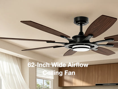 62-Inch RGB Ceiling Fan - WF02