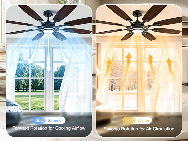 62-Inch RGB Ceiling Fan - WF02